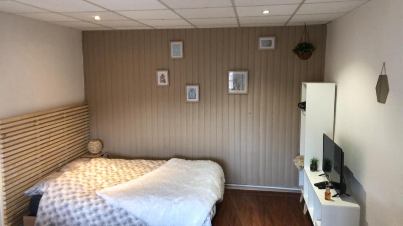 Le Printemps De Melusine Apartment Niort Exterior foto